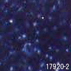 17920-2紺碧青